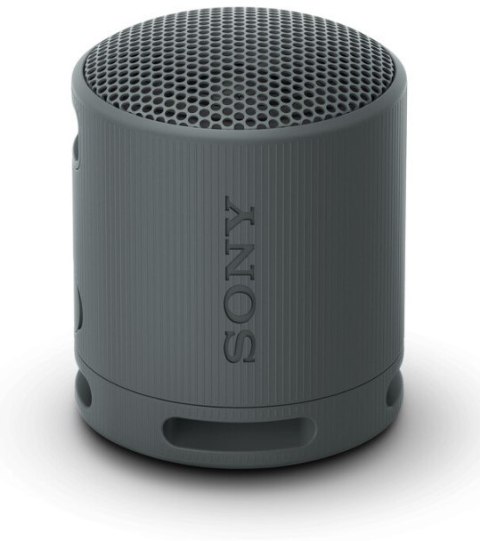 Sony Srsxb100 Głośnik Przenośny Bluetooth 5.3 Ip67 Usbc 16H Mikrofon Czarny