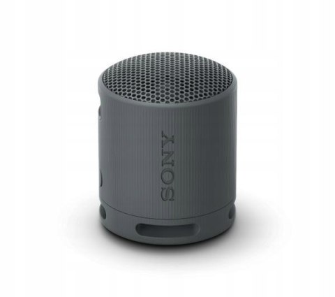 Sony Srsxb100 Głośnik Przenośny Bluetooth 5.3 Ip67 Usbc 16H Mikrofon Czarny
