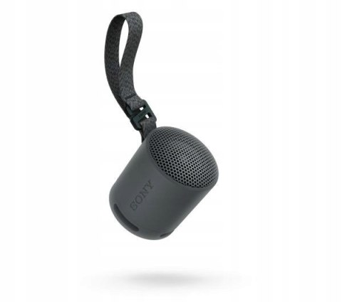 Sony Srsxb100 Głośnik Przenośny Bluetooth 5.3 Ip67 Usbc 16H Mikrofon Czarny