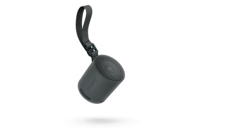 Sony Srsxb100 Głośnik Przenośny Bluetooth 5.3 Ip67 Usbc 16H Mikrofon Czarny