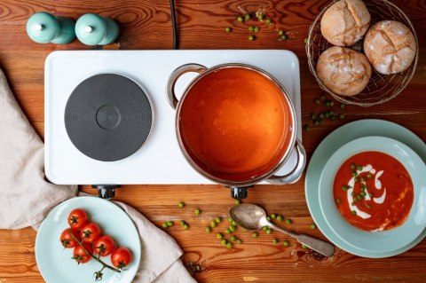 Kuchenka Elektryczna Dwupalnikowa 2500W Płyty 1500W/1000W Płynna Regulacja