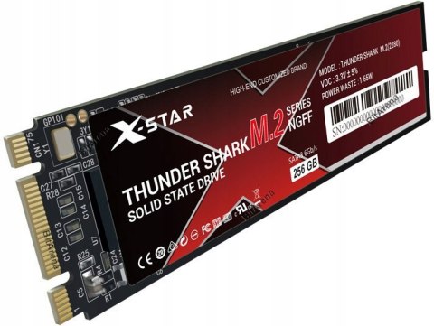 Dysk Ssd X-Star Thunder Shark 256Gb M.2 Sata Ngff 3W1 2280/2260/2242 Tlc