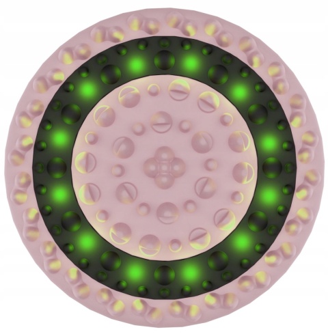 Masażer antycellulitowy BEAUTIFLY B Body WYSZCZUPLAJĄCY MODELUJĄCY