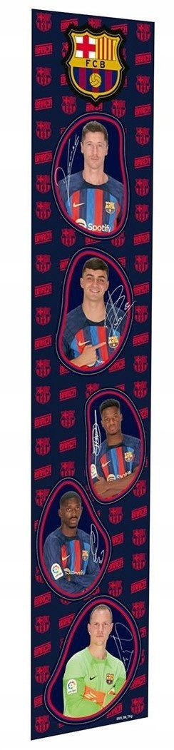 Butelka filtrująca Dafi Solid FC Barcelona 0,7 l z wkładem