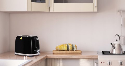 Toster 850W Opiekacz Kanapek Grzanek Tostów 2 Kromki 7 Poziomów
