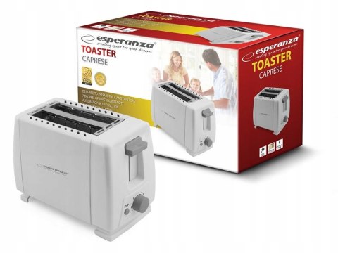 Toster Opiekacz Do Kanapek Sandwiche Grzanki 600W Esperanza Do Kuchni I Śniadań