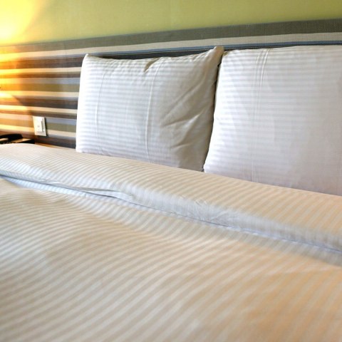 Poszewka Hotelowa Adamaszek 50X60 Cm, 175 Gr/M2 - Wysoka Jakość, Wytrzymała