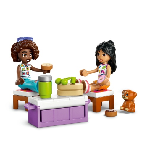 LEGO FRIENDS SAMOCHODOWA WYCIECZKA PRZYJACIÓŁEK 220 ELEM. Z LIANN I ALIĄ