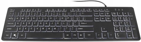 Klawiatura Biurowa Do Biura Podświetlana Led Low Profile Slim Cicha Czarna