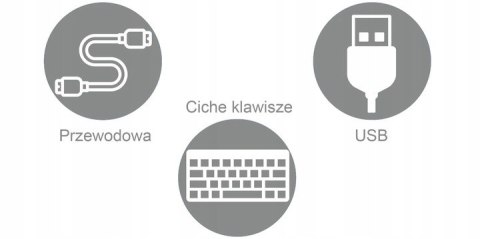 Hp Pro!| Cicha Biurowa Klawiatura Usb| Układ Pl /Us + Cyrylica |Czarna Slim