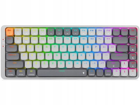 Klawiatura Redragon K652gg Pro Azure Rgb Biały Szary Podświetlana Led