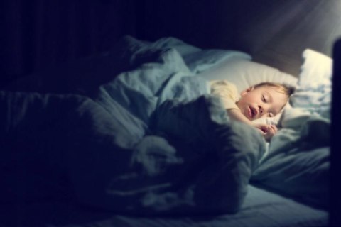 Lampa Owadobójcza Na Owady Komary Muchy Ćmy Uv Pro Pułapka Elektryczna Wabi